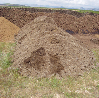 Caracterización agroquímica de un estiércol de oveja (o cabra