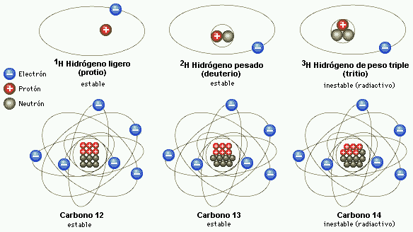 isotopos estables ejemplos