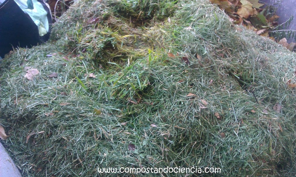 Materiales para hacer compost: Restos de poda de césped – Compostando
