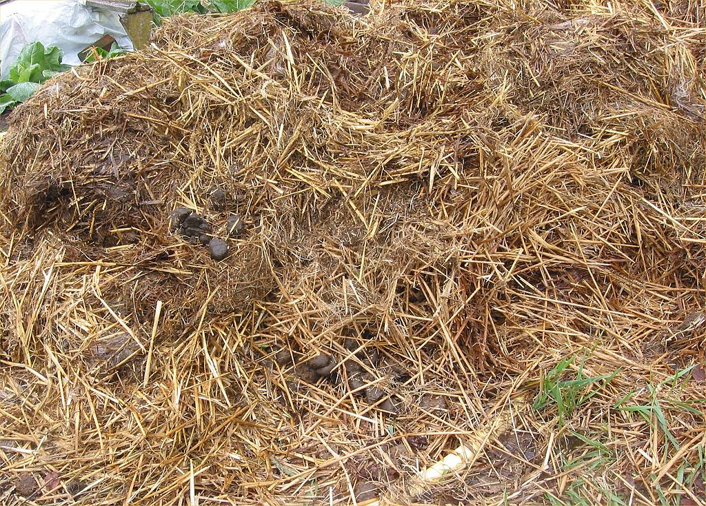 Materiales para compostar: estiércol de caballo – Compostando Ciencia Lab.