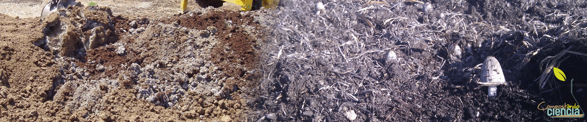 Materia orgánica soluble de compost (II): Efecto de la relación de extracción P/V (peso de compost y volumen del extractante)